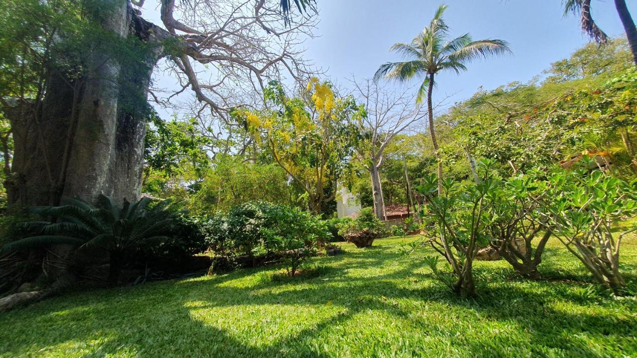 Mami Wata House Bed & Breakfast Kwale Exterior photo