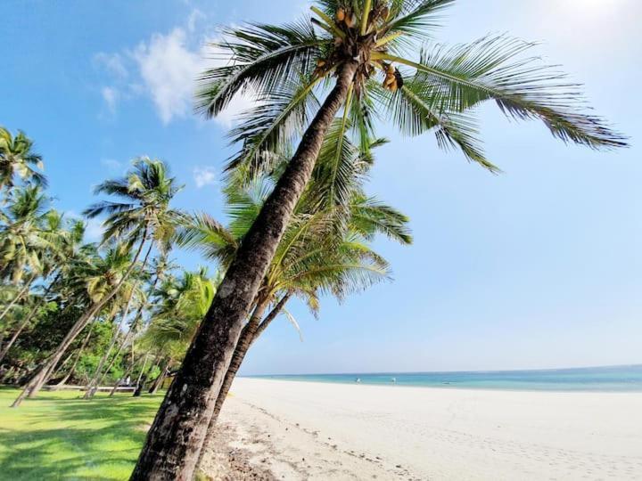 Mami Wata House Bed & Breakfast Kwale Exterior photo